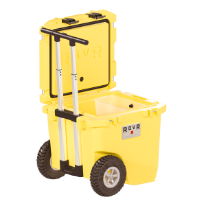 RollR 45 (SUNNY SIDE)