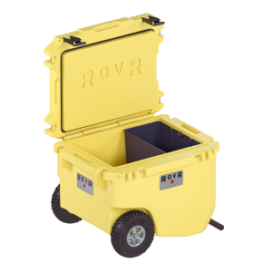 RollR 60 (SUNNY SIDE)